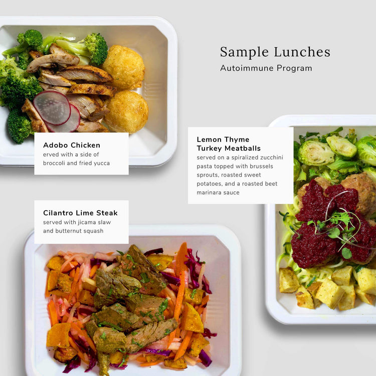 Sample Lunch AIP Meal Prep