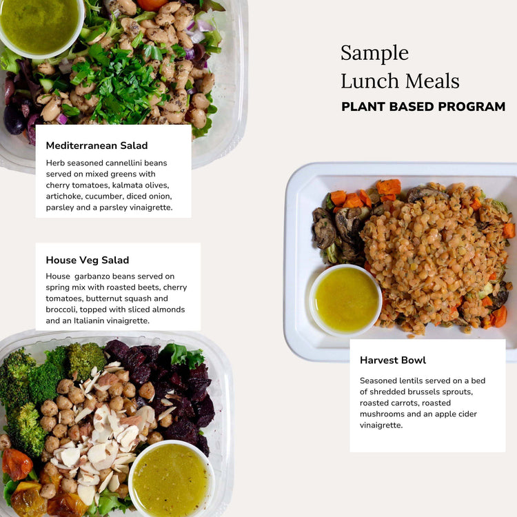 Sample Lunch Vegan Meal Prep